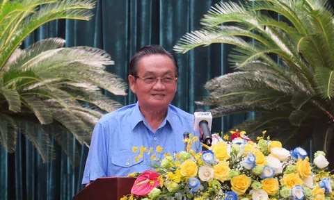 TPHCM thành lập Hội đồng Tư vấn và Tổ Thư ký Hội đồng Tư vấn triển khai thực hiện Nghị quyết 98/2023