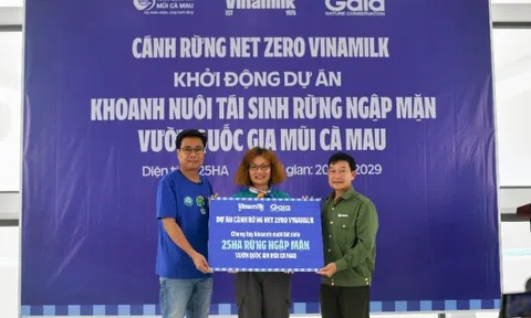 Vinamilk đẩy mạnh hình thành các “cánh rừng Net Zero” với Dự án tái sinh 25 hecta rừng ngập mặn tại Vườn quốc gia mũi Cà Mau