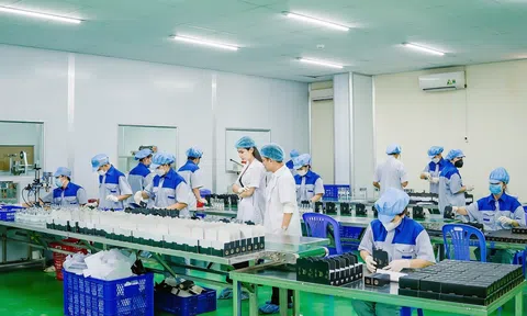 EOTI GROUP - Thương hiệu nước hoa và gel thơm chất lượng, an toàn dành cho thú cưng