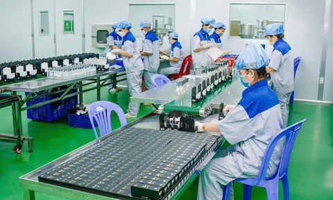 Thương hiệu Việt từng bước khẳng định mình trong ngành công nghiệp thú cưng