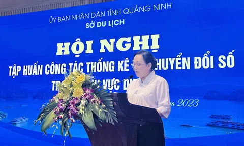 Trung tâm Thông tin du lịch (Cục Du lịch Quốc gia Việt Nam) hỗ trợ tập huấn công tác thống kê và chuyển đổi số trong du lịch tại Quảng Ninh