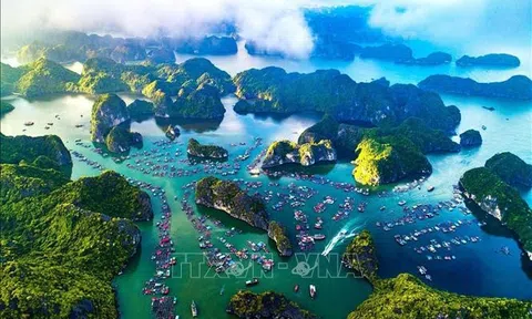 UNESCO công nhận Vịnh Hạ Long - Quần đảo Cát Bà là Di sản Thiên nhiên Thế giới