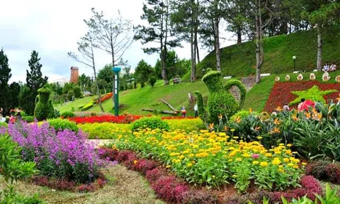 Bình Thuận: Khởi động chương trình du lịch “Hành trình Biển và Hoa”