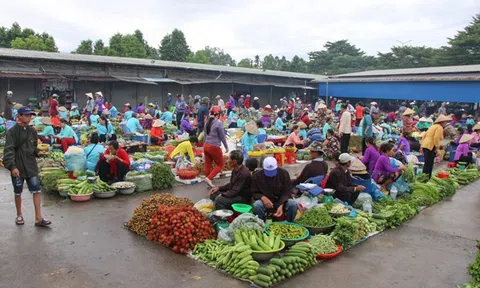 Hậu Giang đẩy nhanh phục hồi, tăng tốc phát triển du lịch hiệu quả, bền vững