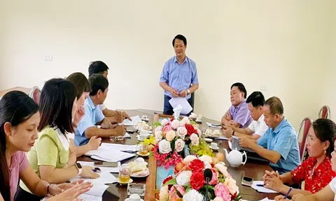 Ngày hội phụ nữ khởi nghiệp gắn với quảng bá, giới thiệu thương hiệu Bưởi Đoan Hùng diễn ra giữa tháng 10