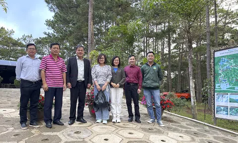 Cục Du lịch Quốc gia Việt Nam khảo sát nghiên cứu xây dựng môi trường văn hóa tại Khu du lịch quốc gia Hồ Tuyền Lâm và Mũi Né