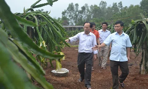 Xã Vượng Lộc, huyện Can Lộc, tỉnh Hà Tĩnh: Xã nông thôn mới nâng cao