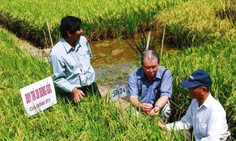 Giáo sư Võ Tòng Xuân - Người cha già trong ngành nông nghiệp Nam bộ