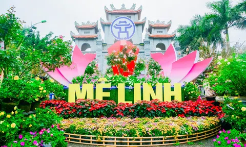 Sự kiện giới thiệu sản phẩm OCOP gắn với văn hoá các tỉnh Nam Bộ 2023 có nhiều hoạt động hấp dẫn