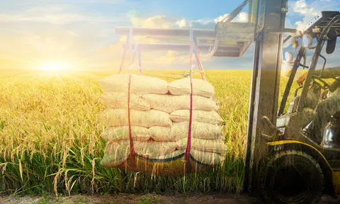 Doanh nghiệp ngành gạo đón “trợ lực” từ Ngân hàng TMCP Bắc Á (BAC A BANK)