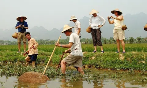 Ninh Bình: Phát triển du lịch nông nghiệp, nông thôn "níu chân" du khách góp phần phát triển kinh tế - xã hội