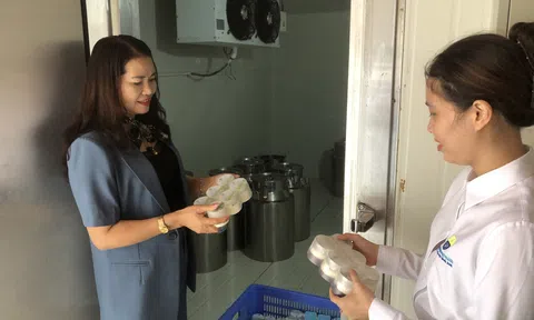 Giáo viên, đại diện phụ huynh Trường Mầm non An Tường trải nghiệm tại Công ty Cổ phần chăn nuôi và chế biến sữa Vĩnh Thịnh
