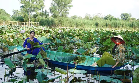 Đồng Tháp: Khôi phục và tiếp tục phát triển lĩnh vực du lịch