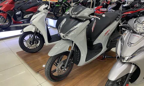 Bảng giá xe Honda SH tháng 11/2023 giảm không phanh: Hút khách vì giá rẻ chưa từng có
