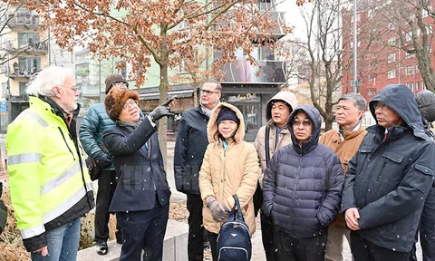 TPHCM và Phần Lan chia sẻ kinh nghiệm về bảo vệ môi trường, chuyển đổi năng lượng, ứng phó với biến đổi khí hậu