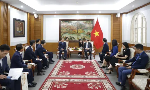 Làng Việt Nam "K-Vietnam valley" tại Hàn Quốc sẽ tạo ra cái nôi để kết nối những người Việt Nam trong gia đình đa văn hóa