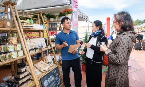Trưng bày, giới thiệu, quảng bá sản phẩm đặc trưng và văn hóa truyền thống các tỉnh Tây Nguyên