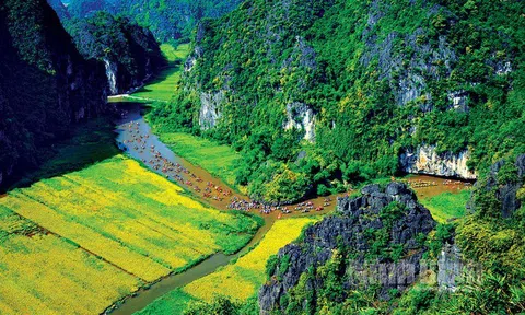Ninh Bình: Xây dựng Đô thị di sản thiên niên kỷ tạo động lực phát triển
