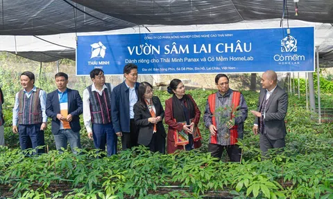 Cỏ Mềm: Khắc phục khó khăn, giúp người dân làm giàu bền vững