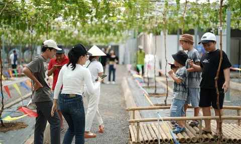 TP Hồ Chí Minh đón 1,6 triệu lượt khách trong dịp Tết Dương lịch 2024