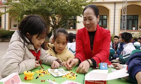 Hiệu trưởng Trường Tiểu học Bắc Cường Trần Thị Minh Chung xứng đáng với danh hiệu Nhà giáo Ưu tú