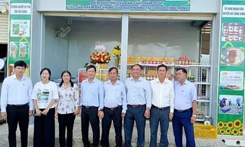 Tiền Giang: Huyện Gò Công Đông quảng bá, tiêu thụ sản phẩm OCOP 3 sao: Nước tương Nguyên Dương Tamari, Củ cải dầm, Mắm ruốc xào