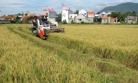 Khánh Hòa: Năm 2023, tăng trưởng GDP toàn ngành nông nghiệp đạt 3,83%, cao nhất trong nhiều năm gần đây