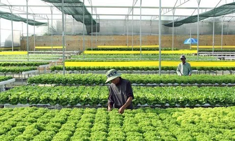 Đồng Nai: Chú trọng nâng cao giá trị sản xuất nông nghiệp, tạo ra sản phẩm đạt tiêu chuẩn xuất khẩu