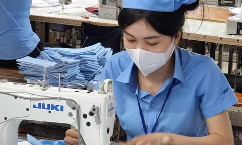 Hội đồng tiền lương quốc gia trình Chính phủ mức tăng lương tối thiểu vùng 6% từ 1/7/2024