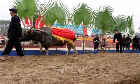 Lễ hội Lồng Tông của đồng bào Tày Chiêm Hóa là sản phẩm du lịch đặc thù thu hút du khách