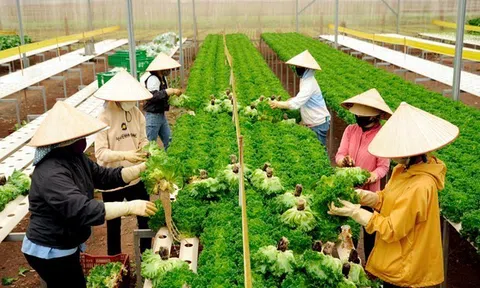 Tín hiệu lạc quan đối với nền kinh tế Lâm Đồng ngay từ tháng đầu năm 2024