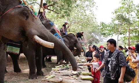 Nhân dân và du khách hào hứng hưởng ứng hoạt động mừng ngày Chiến thắng Buôn Ma Thuột
