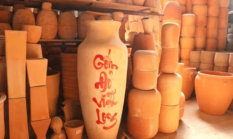 Vĩnh Long: Huy động nguồn lực cho Chương trình mục tiêu quốc gia xây dựng nông thôn mới