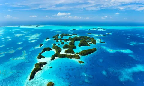 Cách đảo quốc Palau phát triển du lịch thông qua thúc đẩy bảo tồn hệ sinh thái biển