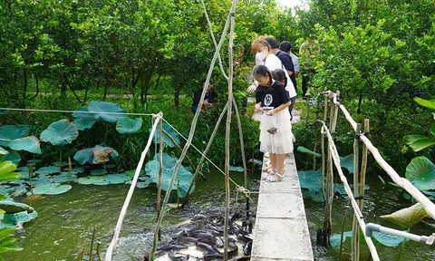 Đồng Tháp: Khai thác tiềm năng, đưa du lịch trở thành ngành kinh tế quan trọng