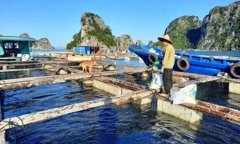 Bộ trưởng Bộ NN&PTNT khẳng định Việt Nam có tiềm năng, lợi thế cho việc phát triển nuôi biển