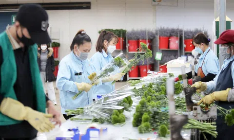 Những giải pháp đột phá để ngành nông nghiệp Lâm Đồng chủ động thích ứng biến đổi khí hậu, tham gia chuỗi giá trị nông sản toàn cầu