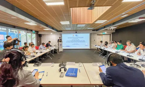 Bảo tồn và phát huy di sản văn hóa dưới nước: Cần ưu tiên đào tạo nguồn nhân lực chất lượng cao