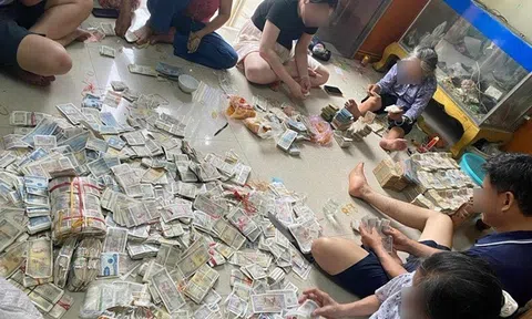 Sự thật cụ bà ăn xin ở Nam Định có 9 bao tải tiền nặng hàng chục kilogam, con cháu quây quần ngồi đếm