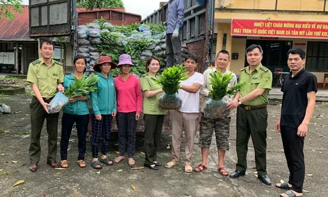 Huyện Chiêm Hóa (Tuyên Quang): Hỗ trợ trồng, bảo vệ, phát trển rừng, tạo việc làm và tăng thu nhập cho người dân