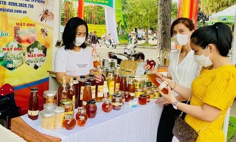 Gia Lai: Nhiều giải pháp chú trọng đầu tư nâng tầm sản phẩm OCOP, đáp ứng nhu cầu ngày càng cao của người tiêu dùng