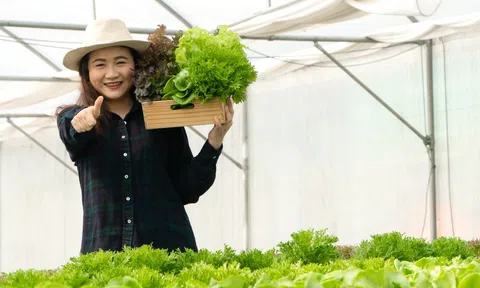 TP. Hồ Chí Minh: Phát triển mô hình du lịch nông nghiệp tạo sức hút lớn đối với du khách trong nước và quốc tế