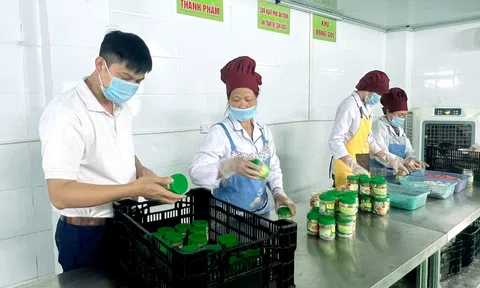 Lập Thạch (Vĩnh Phúc): Phát triển sản phẩm OCOP ở Văn Quán góp phần nâng cao thu nhập cho lao động nông thôn