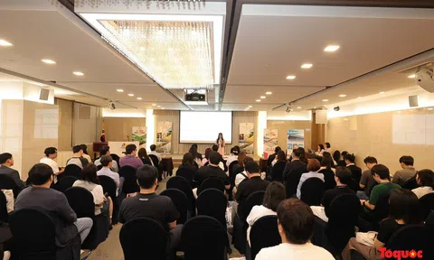 Đà Nẵng quảng bá du lịch tại Hàn Quốc, phát động chiến dịch "Enjoy Da Nang Again"