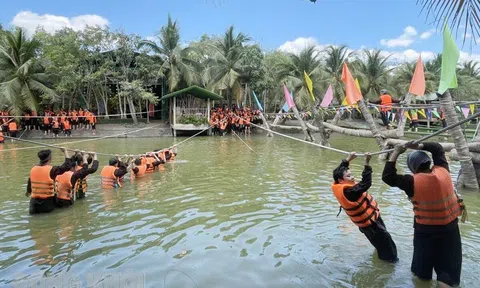 Cộng đồng doanh nghiệp du lịch tỉnh Bến Tre: Phát triển du lịch theo hướng chuyên nghiệp, chất lượng