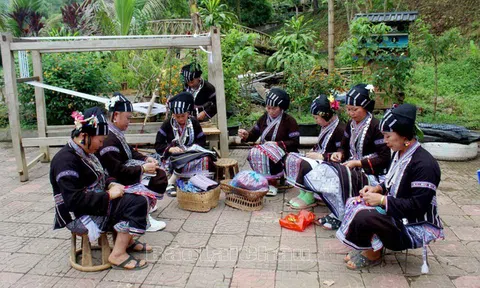 Tổ chức khôi phục, bảo tồn và phát triển bản sắc văn hóa truyền thống của dân tộc thiểu số rất ít người