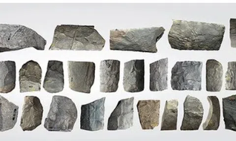 Đồng Nai: Ban hành đề án phát huy giá trị bảo vật quốc gia giai đoạn 2024-2030