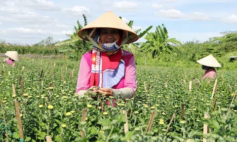 Phát động Cuộc thi ảnh “TPHCM xây dựng nông thôn mới gắn với đô thị hóa nông thôn”