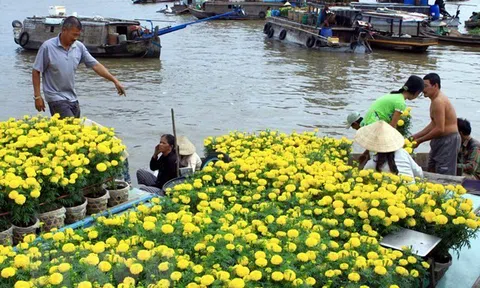 Phát triển văn hoá, con người đồng bằng sông Cửu Long qua 40 năm đổi mới