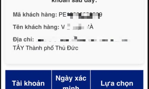 Điện lực TP.HCM tăng cường bảo mật thông tin khách hàng